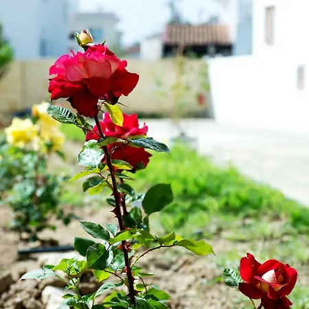 Sunset Valley House Affittacamere Larnaca